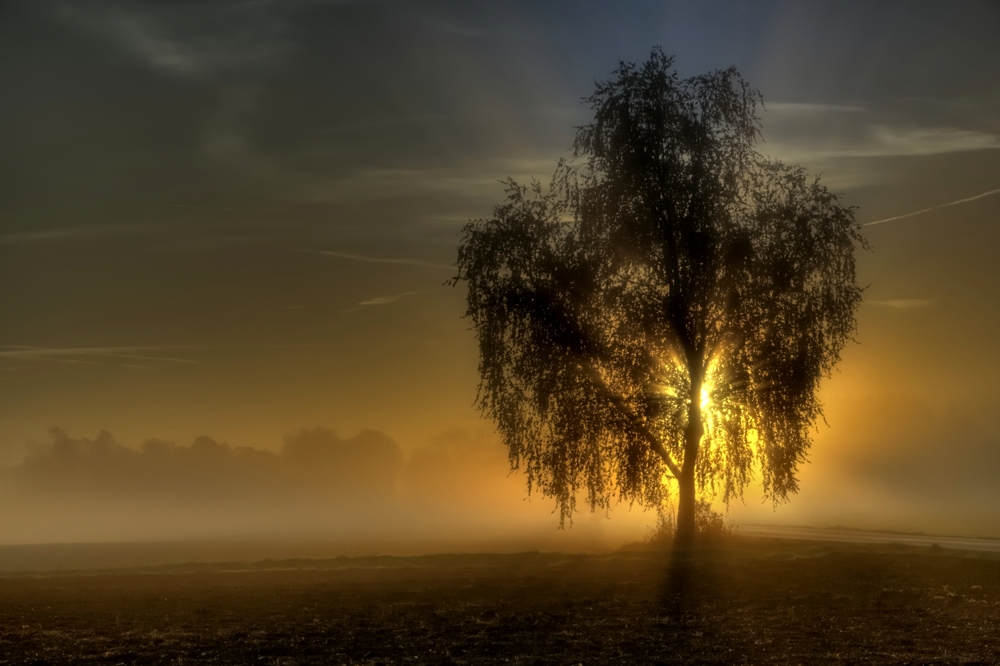 Mueller Franz at sunrise